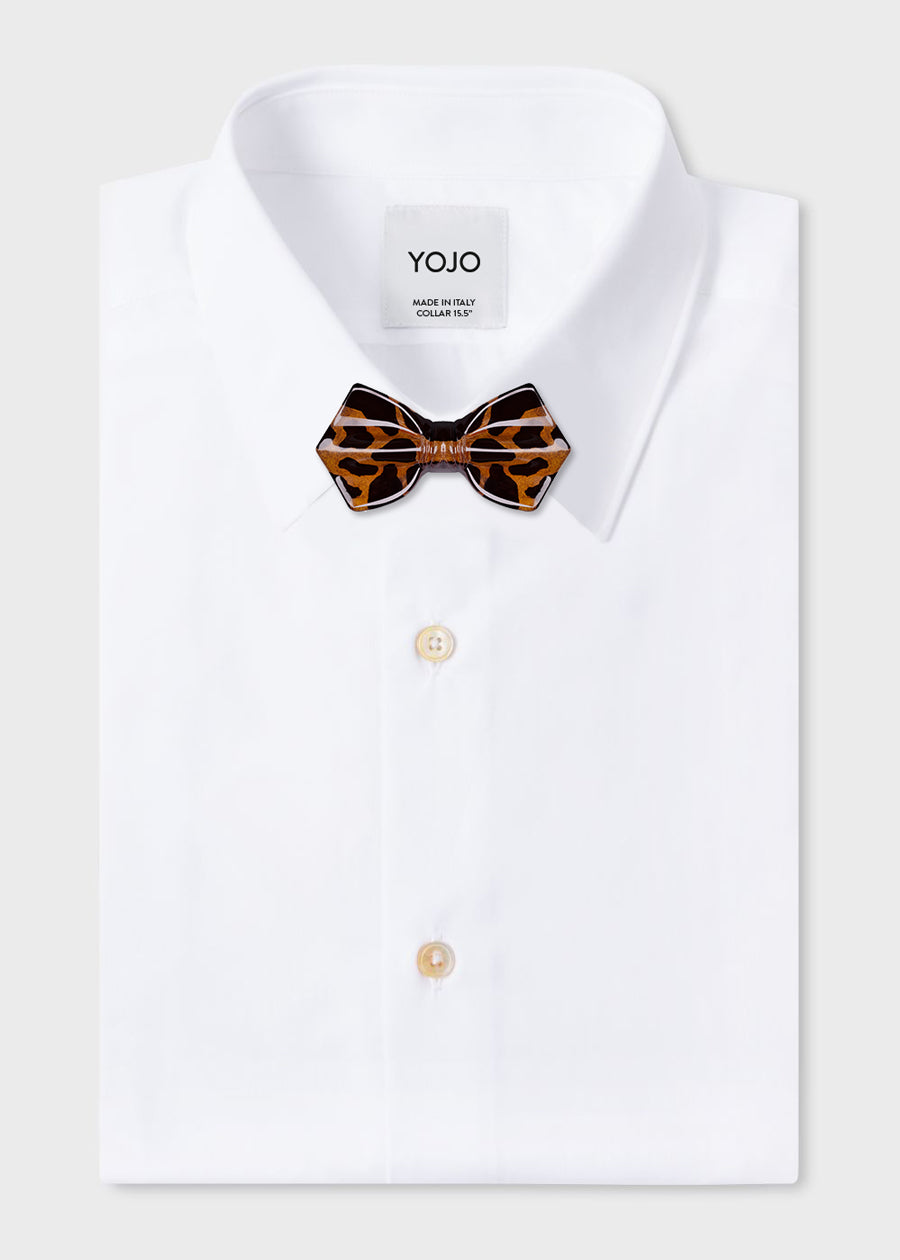 tortoise-bow-tie-shiny-ceramic-design-concept-designer-yojo